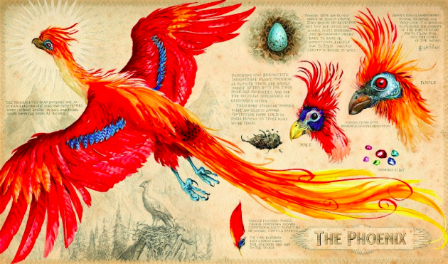 The Phoenix inside Dumbledore's Office